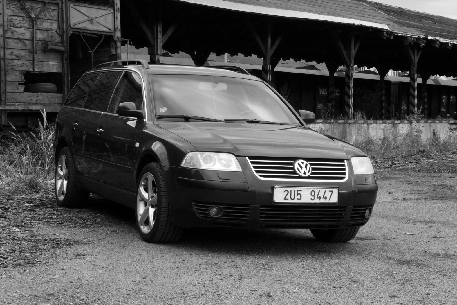 IMG_2591bw