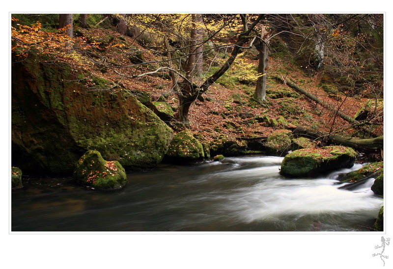 Kamenice_06